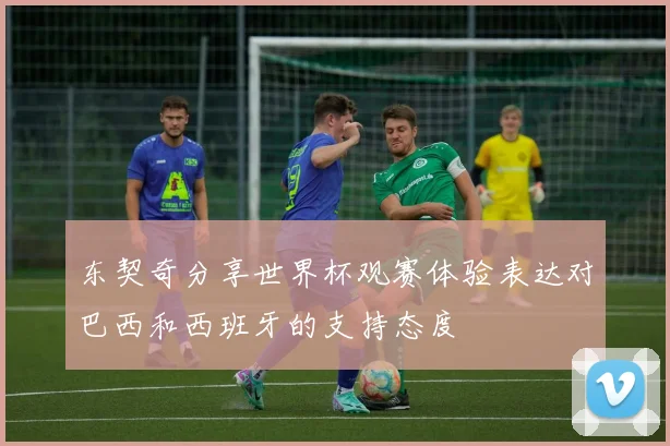 东契奇分享世界杯观赛体验表达对巴西和西班牙的支持态度